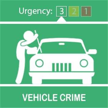  - Theft From Motor Vehicles