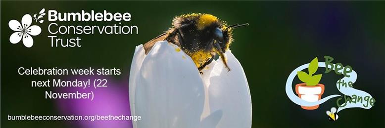  - Help bumblebees over the colder months (and into next year) with a free Autumn/Winter guide